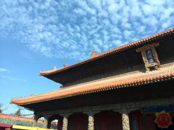 山东盛情款待,尊敬的嘉宾与朋友们