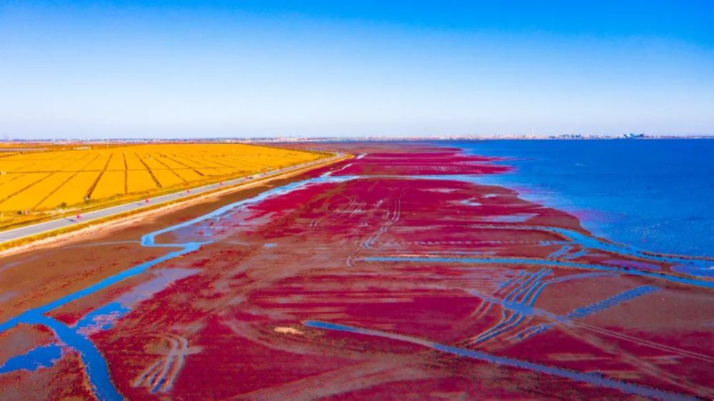盘锦,湿地之都,生态典范之城
