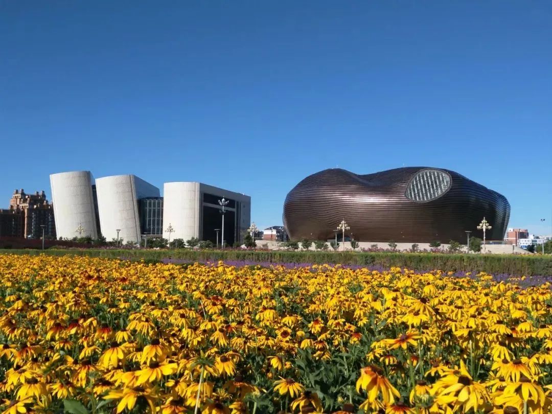 鄂尔多斯，资源型城市向生态宜居地转型的探索之旅