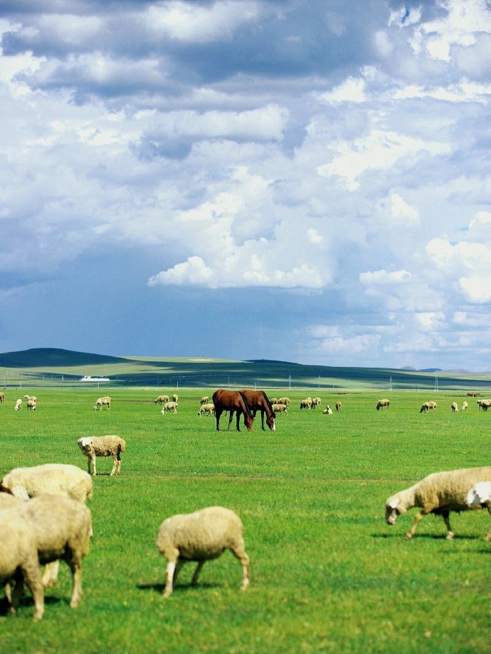 北疆秘境，呼伦贝尔，沉睡千年的草原女神